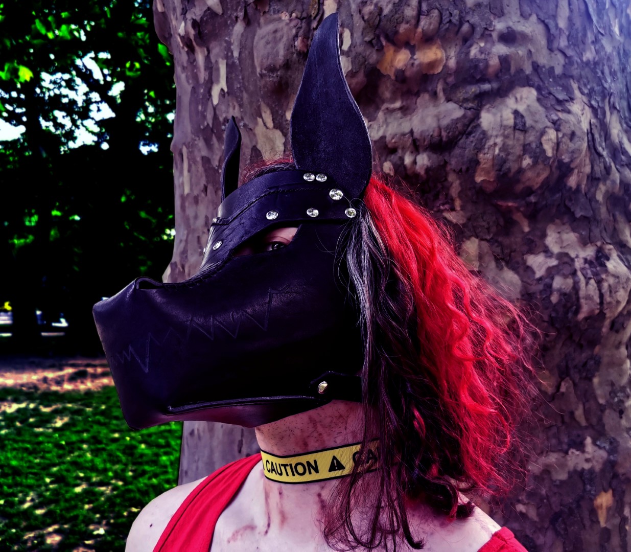 <BAD DOG>