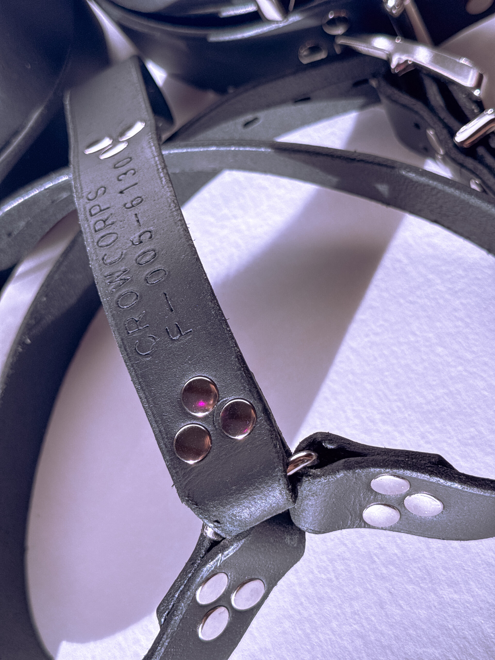 Photograph featuring the die-punched product information for the harness set.