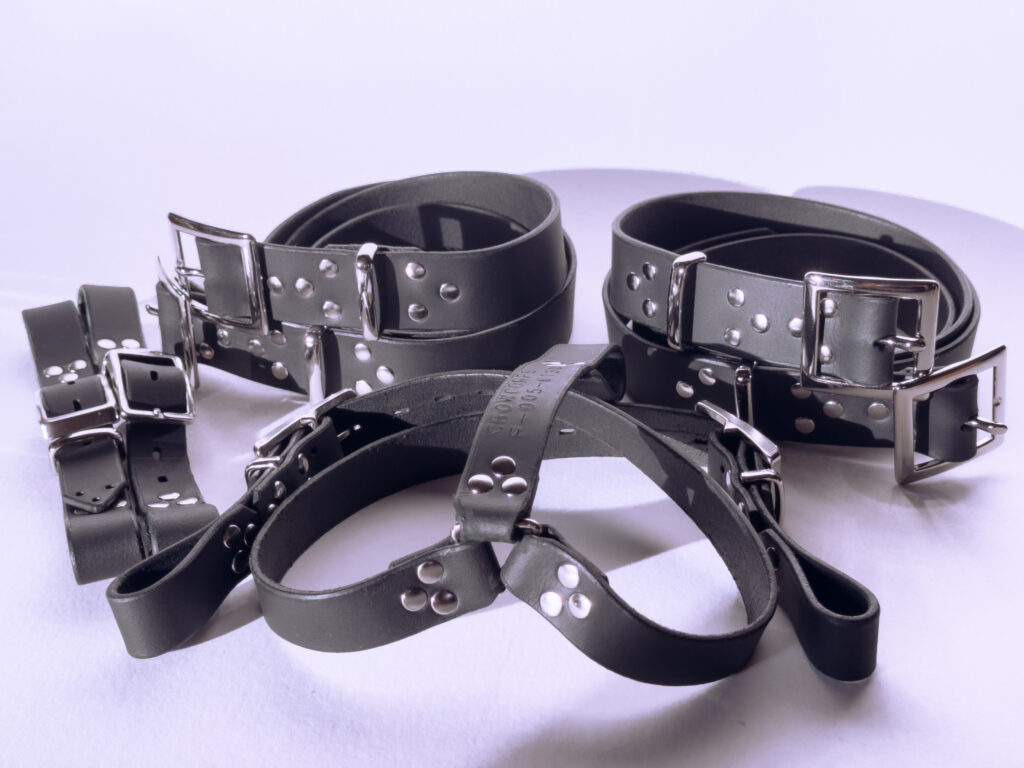 Photograph of a black leather harness set featuring heavy nickel-plated brass buckle hardware, framed by triads of circular rivets.