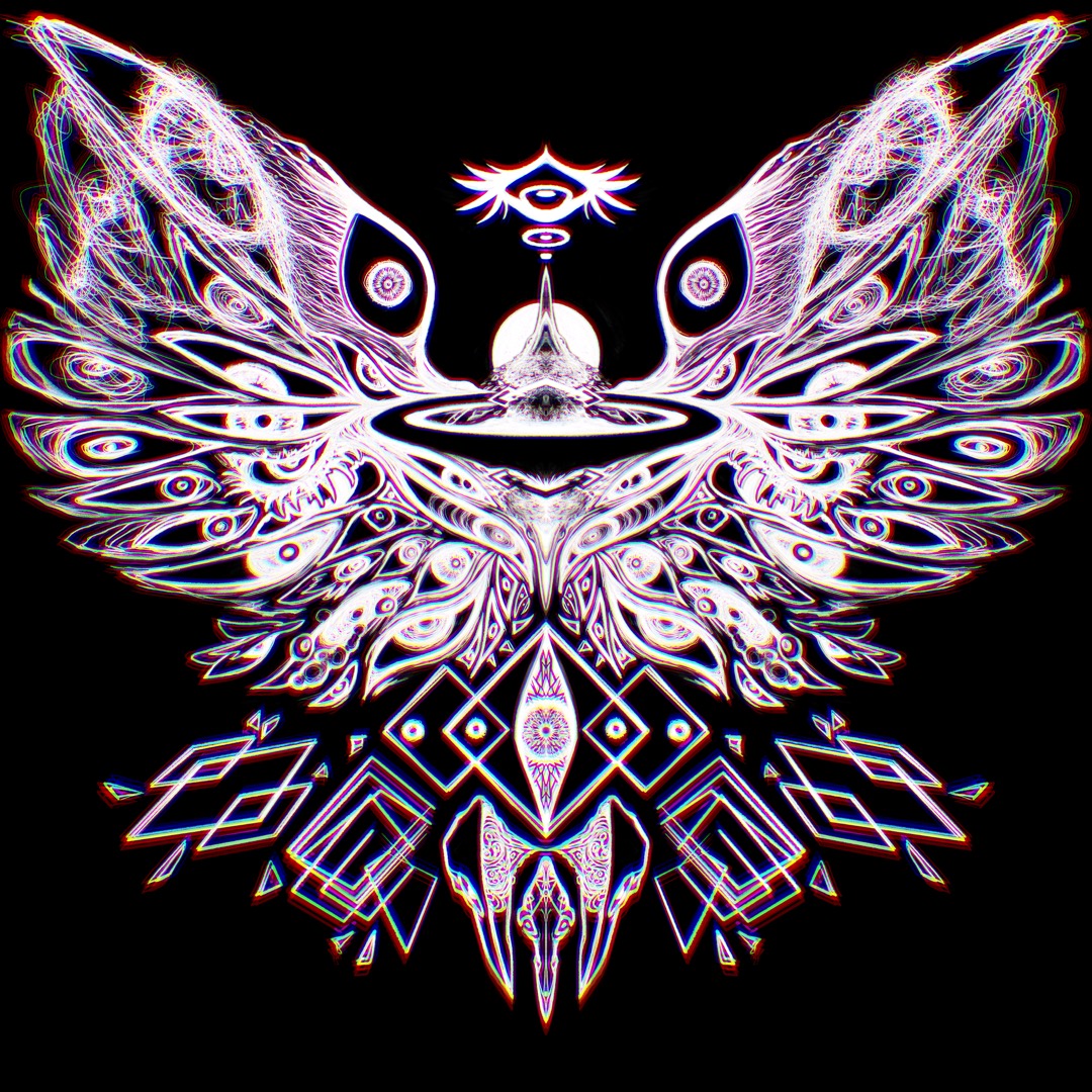GET IN HERE ⌜waxlimbs⌝